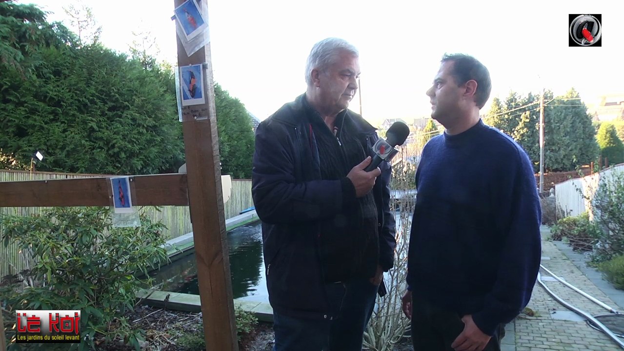 Koi d'automne 2016 chez Le koi