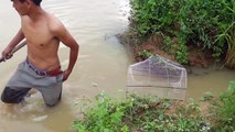 Net Fishing at Pailin Province - Cambodia Traditional Fishing - Khmer Cast Net Fishing (Part 073)