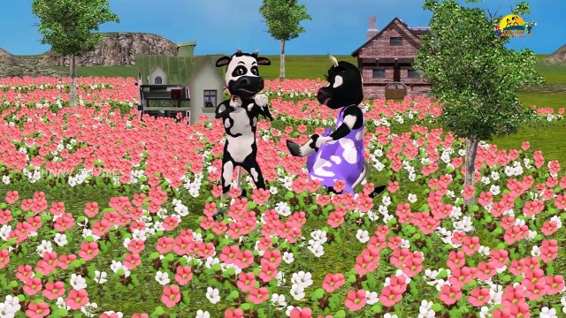 cow V/S bear Finger Family Nursery Children 3d English Rhymes | Cartoon Animals