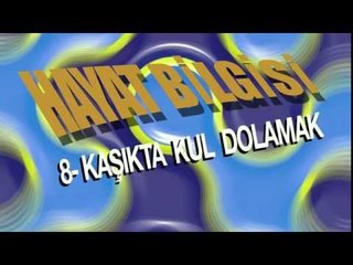 Kaşıkta Kul Dolamak - Hayat Bilgisi