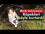 Yavru Köpekleri Yıkılmak Üzere Olan Evden Kurtaran Minik Kız