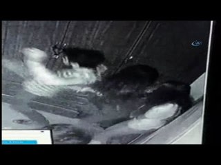 Korku Evinde Güldüren Anlar