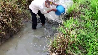 Net Fishing In Battambang Province - Khmer Cast Net Fishing -Cambodia Traditional Fishing ( Part 81)