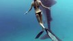 Une jeune femme plonge avec un requin baleine
