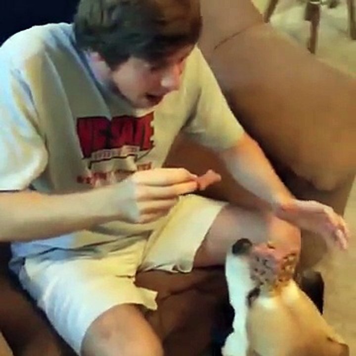 Mannequin challenge avec cet homme et son chien