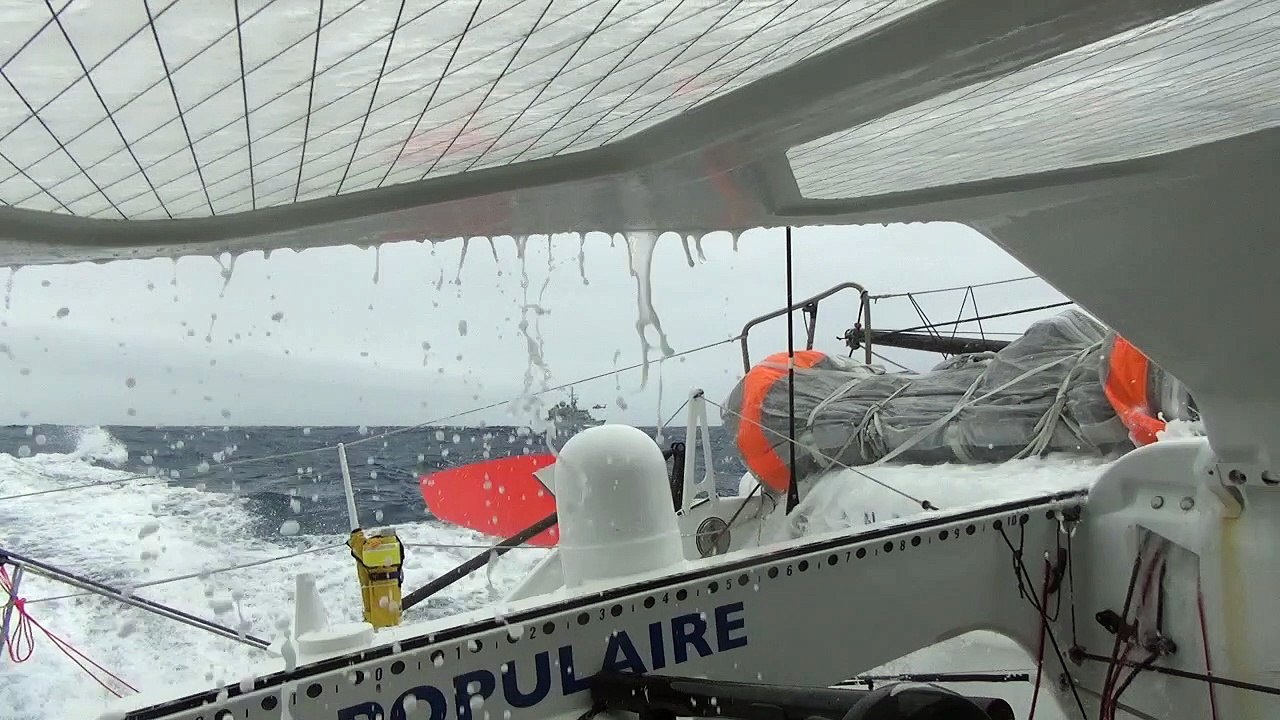 30/11/2016 - Un drôle d'albatros ! - Vendée Globe 2016/2017 - Voile Banque Populaire