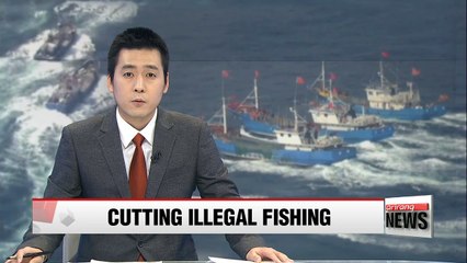 Coast Guard's new authority to use weapons has cut illegal fishing by 57%: report