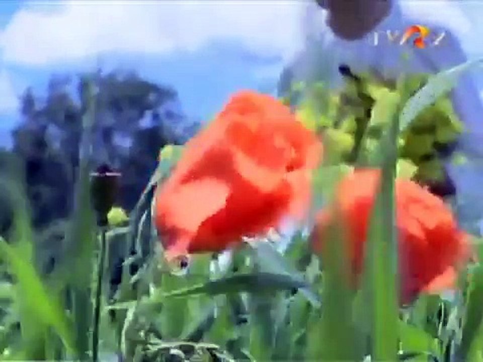 Benone Sinulescu - Viata, viata drum cotit