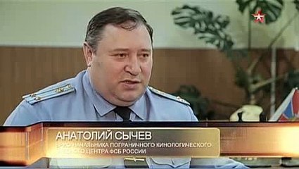 Джульбарс - Телеканал «Звезда»