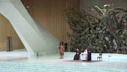 El papa pide rezar por los fallecidos en el accidente aéreo en Colombia