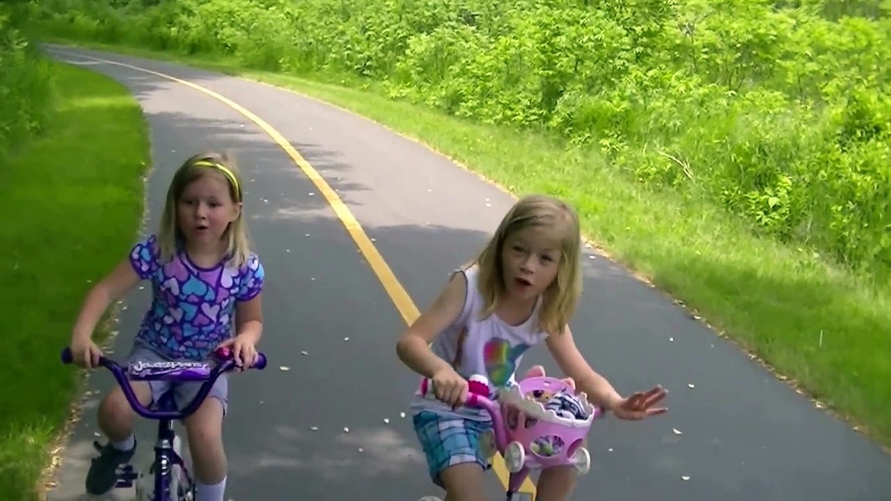 Mystery of the disappearing bees ! Honey Bees Dying , Why ?