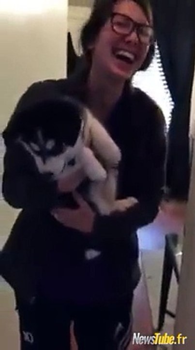 LOOL Marrant ce husky qui veut parler ..
