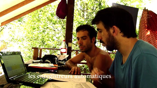 Paysages sonores de la vallée tropicale - Prix du Jury et Prix du Public 2016