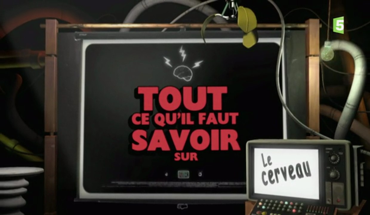 Tout Ce Qu'il Faut Savoir Sur - S02E02 - Le Cerveau