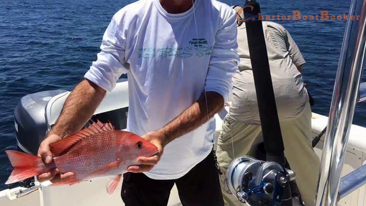 Destin Charter Fishing