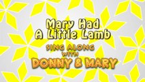 Sing Along With Donny & Mary - Mary Had A Little Lamb