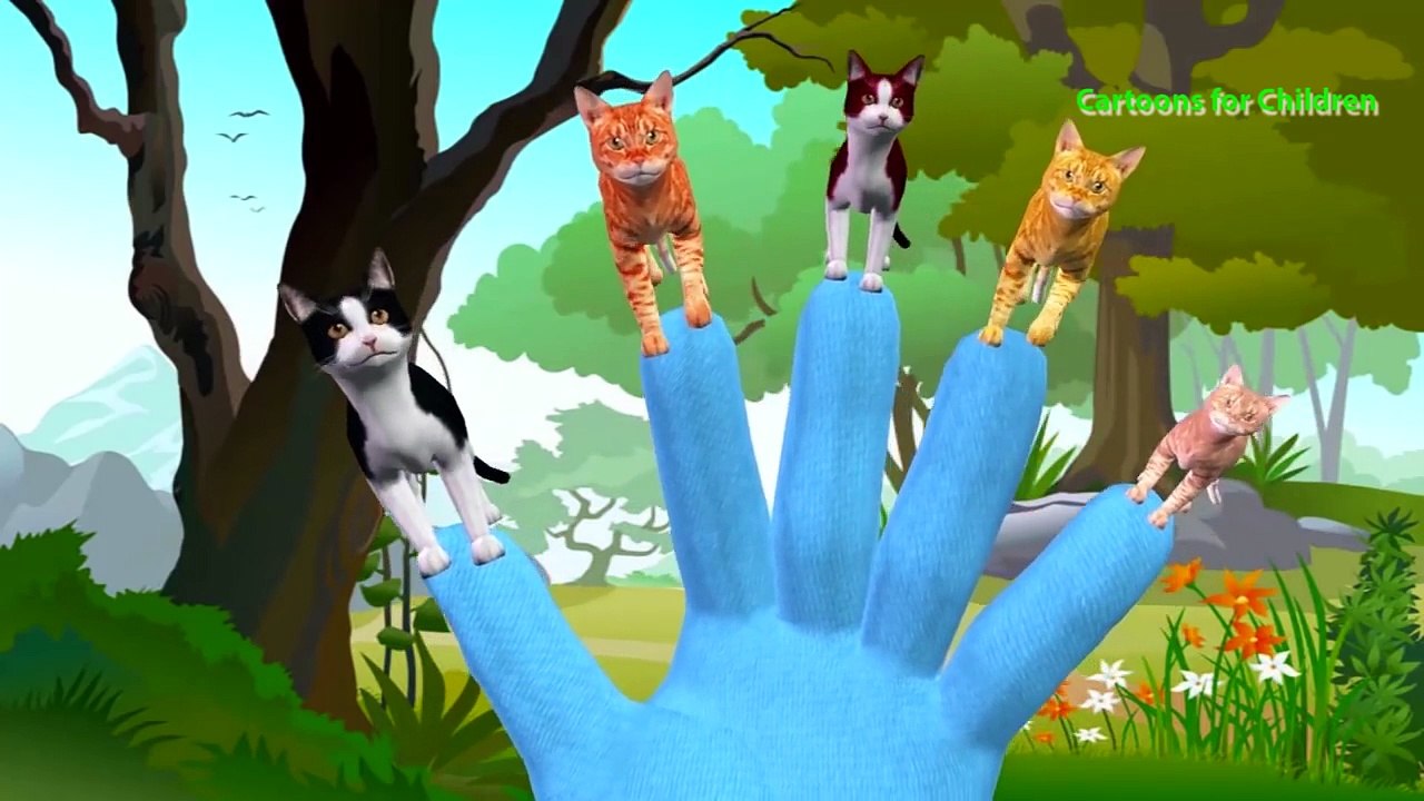 The Finger Family Song on Pussy Cats | Cat Vs Rats | Pet Animals Cartoons Finger Family for Children