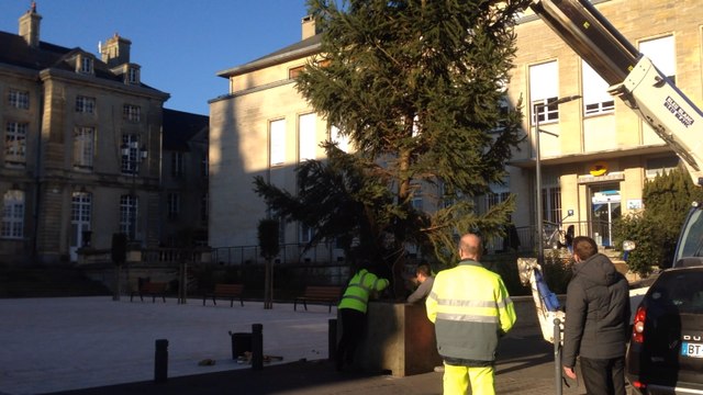 Le grand sapin est installé sur le parvis de l'hôtel de ville