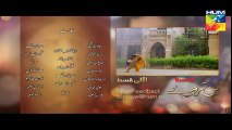 Bin Roye (Episode 10) Promo HUM TV