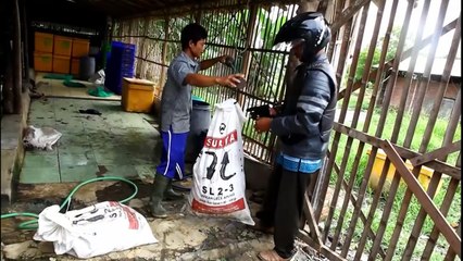 zak van slangen, de laatste staat, zonder uw portemonnee!