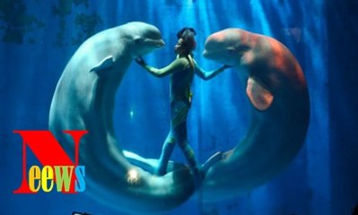 Mặt xấu xa và đen tối đến rợn người của loài cá heo mà ít ai biết