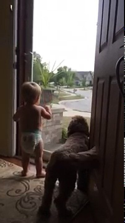 Daddy Just Got Home, Mom's Footage Of Baby And Dog Goes Viral