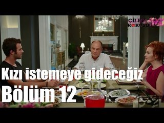 Çilek Kokusu 12. Bölüm - Kızı İstemeye Gideceğiz