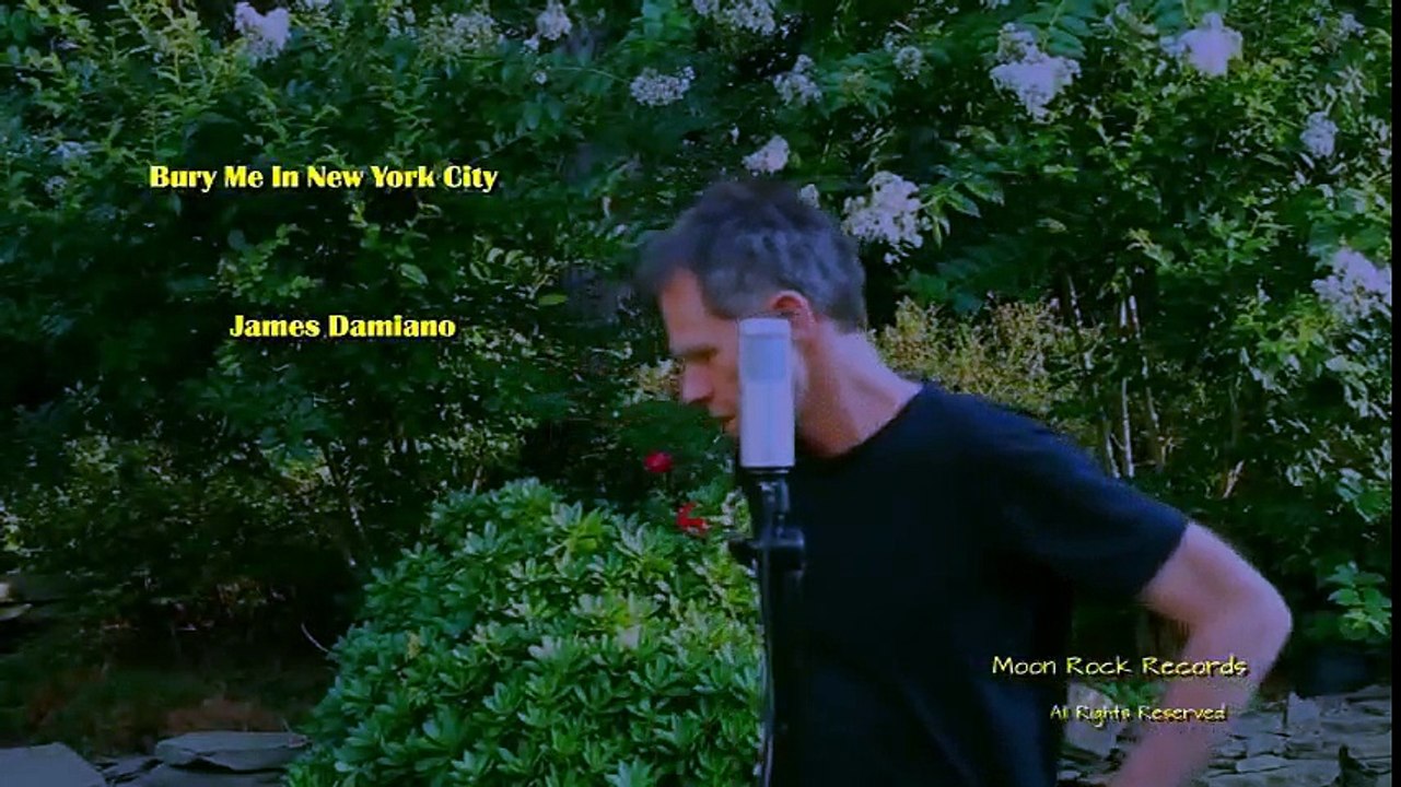 Bob Dylan's Stealing of James Damiano's Songs(7)