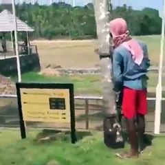 Amazing trick to climb on coconut tree