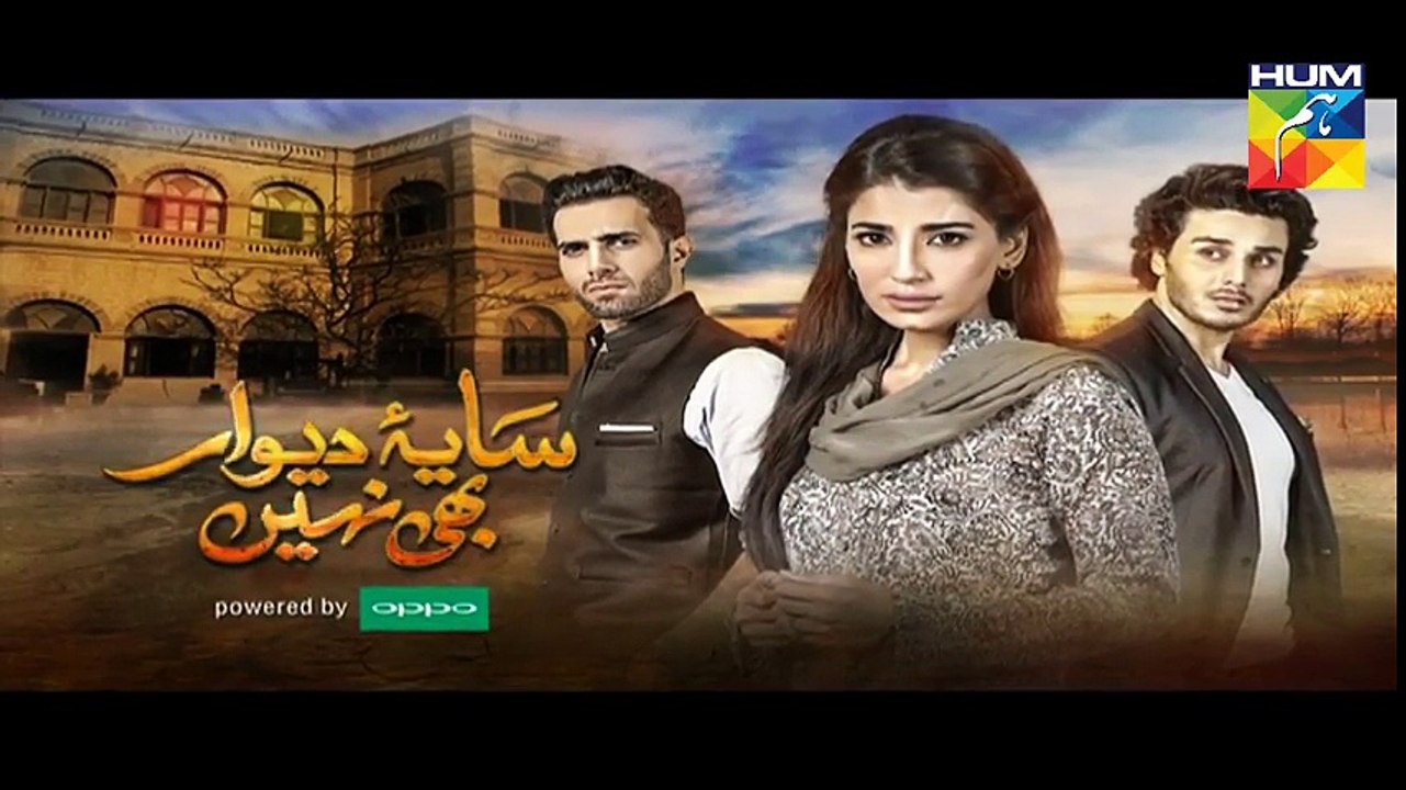 Saya e Dewar Bhi Nahi Episode 17 Promo HD HUM TV Drama 30 November 2016