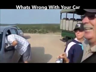 C'est quoi le soucis avec ma voiture, Le serpent de 200kg!