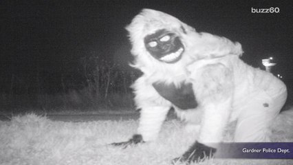 Police Run Wildlife Cameras And Capture The Most Bizarre Photos