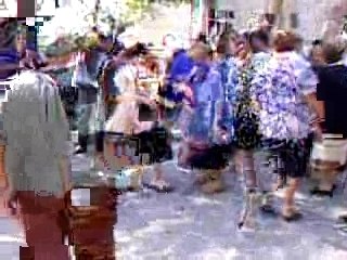 Kuchek v selo Svetlina