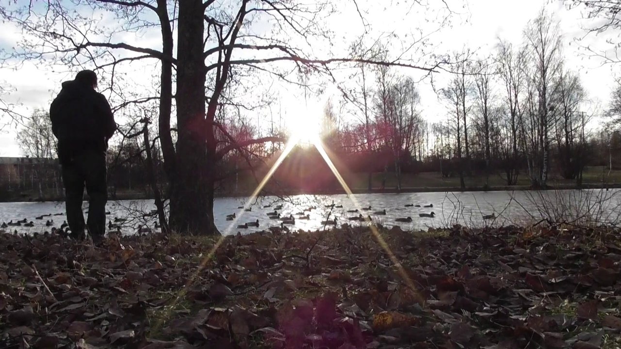 Nov 30 2016 F2
