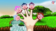 [MONKEY ]Finger Family Nursery clhildren rhymes | Finger family songs kids rhymes