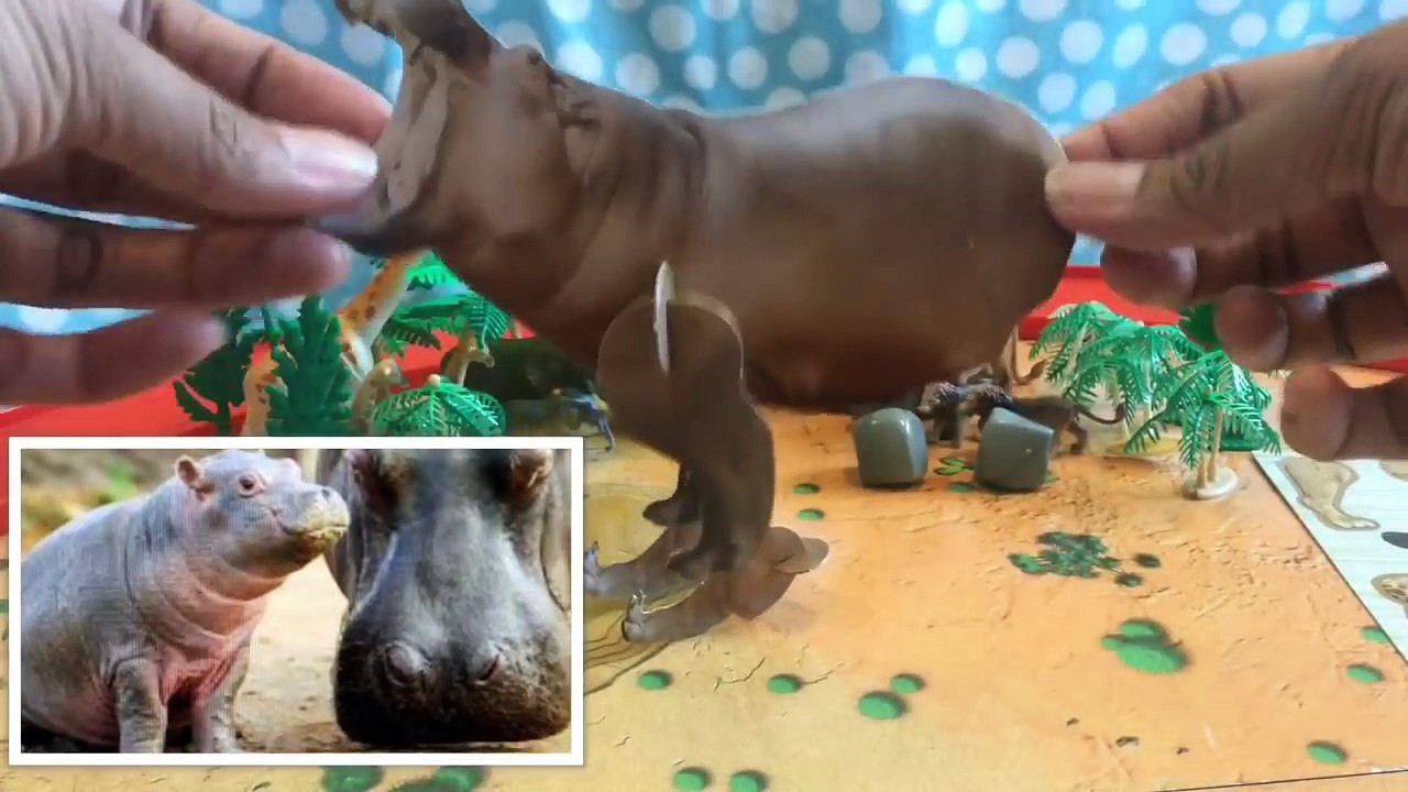 Safari Animals Kids Educational Toy Book With Magnetic and Paper Cut-out Animals by FamilyToyReview