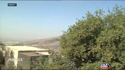 Incendies en Israël : les arrestations se poursuivent