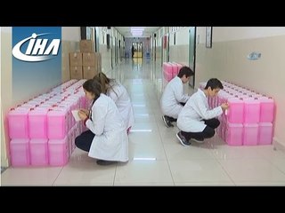 Fabrika Gibi Okul, Cirosu 1 Milyon