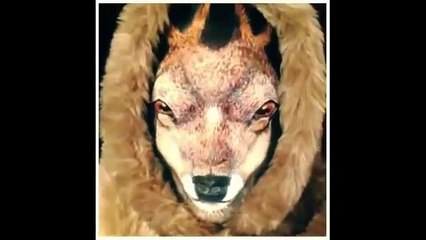 It may seem like a deer, but wait a few seconds and you'll see..