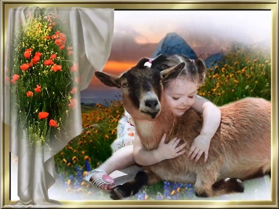 Belles es heureuses fêtes