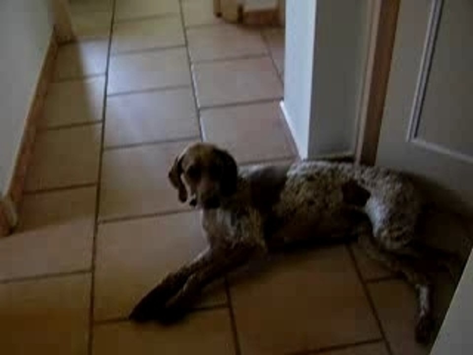 Photo 043