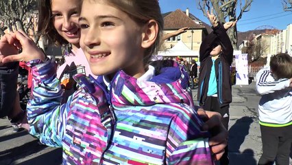 mannequin challenge collegiens digne 30 11 2016