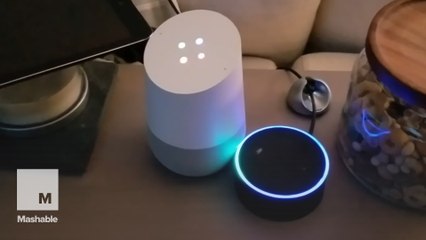 Someone rigged Amazon Echo and Google Home to talk to each other and it's hilarious