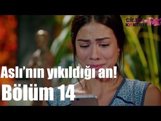 Çilek Kokusu 14. Bölüm - Aslın'nın Yıkıldığı An!