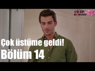 Çilek Kokusu 14. Bölüm - Çok Üstüme Geldi