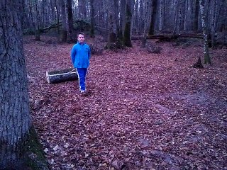 REGROUPER DES BILLES DE BOIS