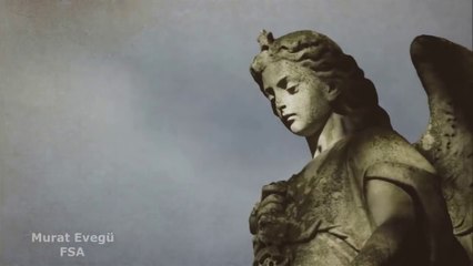 Kameralara Yakalanmış Zaman Yolcuları