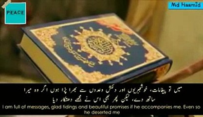 Peace Video _ inspired Peace video Must watch