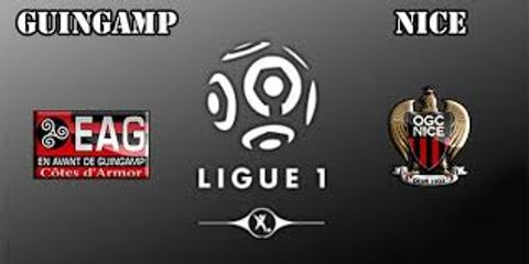 Guingamp 0 - 1 Nice - All Goals & Highlights HD 30.11.2016