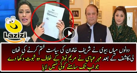 Meher Abbasi is Providing Solid Proofs Against Maryam Nawaz